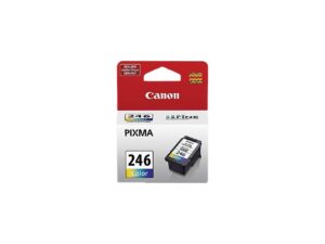 Canon Pixma 246 Ink Color