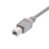 USB A to B Male Cable 3