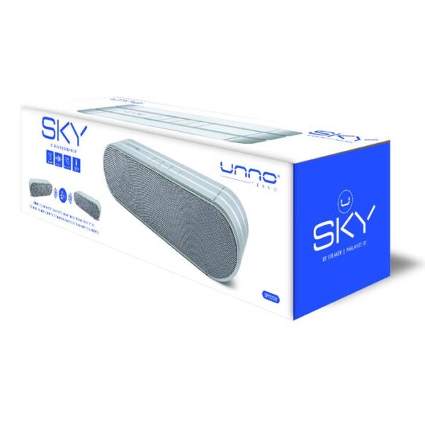 SKY BT Bluetooth Speaker TWS True Wireless Stereo Silver Package