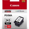 Canon 243 Black