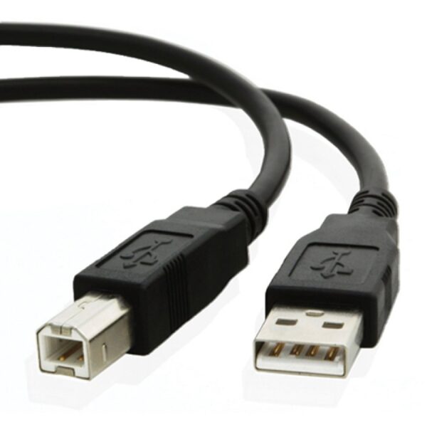 10ft USB A B Cable