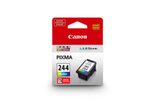 Canon 244 Color Ink